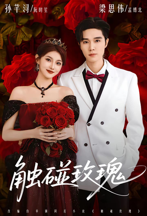 【触碰玫瑰】80集短剧免费全集赏看