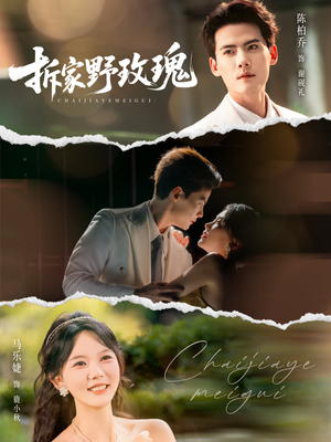 【拆家野玫瑰】80集短剧免费全集速来看