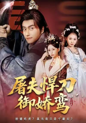 屠夫悍刀御娇鸾（81集）百度网盘在线看