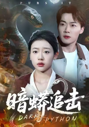 【暗蟒追击】35集短剧免费在线赏看