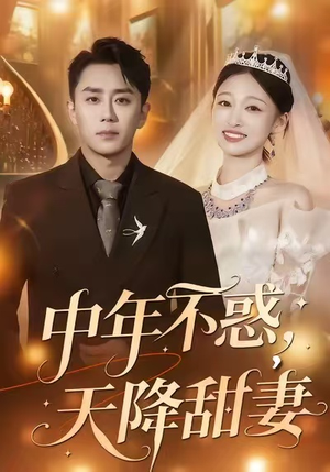 【中年不惑，天降甜妻】60集全网短剧免费高清观看