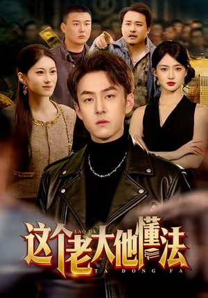 【这个老大他懂法】短剧100集免费全集速看