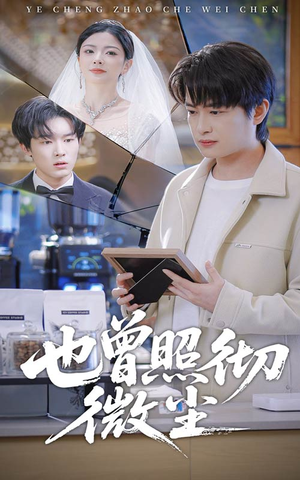 也曾照彻微尘（60集）网上可以看吗