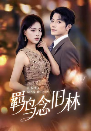 【羁鸟念旧林】60集短剧在线免费完整观看