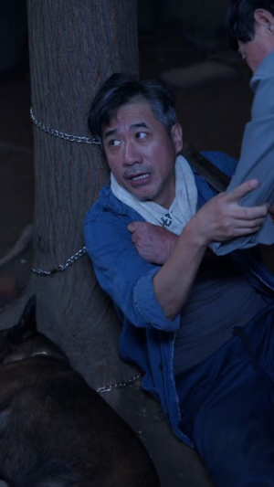 【别惹我的狗】40集短剧免费高清在线看