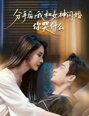 【分手后，我和女神闪婚你哭什么】80集短剧全集免费畅看