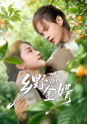 乡野藏金婿（50集）短剧小说在线看