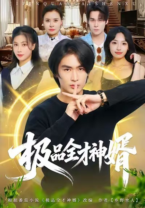 【极品全才神婿】67集短剧免费在线览观