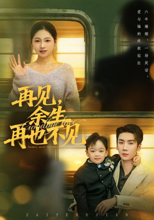 【再见余生再也不见】89集全集短剧免费在线速览