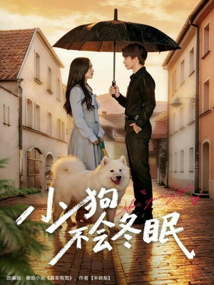 小狗不会冬眠（70集）全集都在这里了