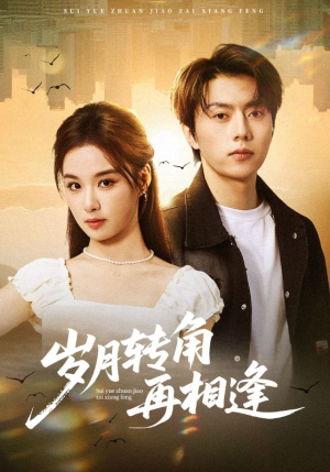 岁月转角再相逢（80集）好短剧分享