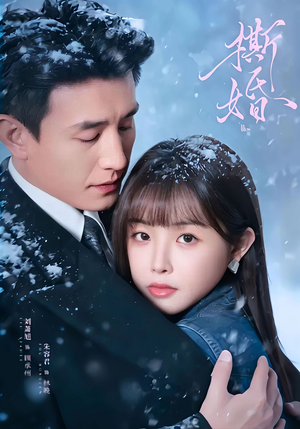 撕婚（23集）在线免费观影