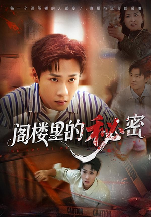 阁楼里的秘密（76集）短剧每日分享