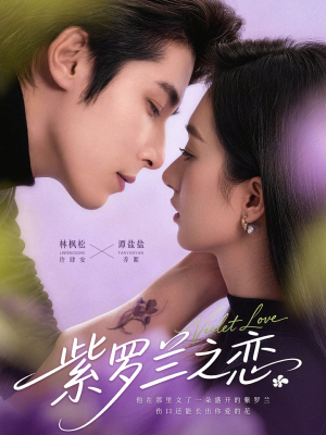 【紫罗兰之恋】82集短剧在线播放无广告