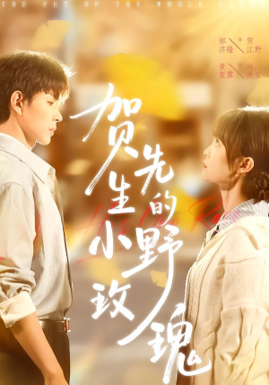 【贺先生的小野玫瑰】99集免费短剧全集在线速看