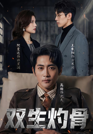 双生灼骨（60集）最火的短剧