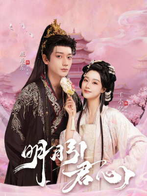 【明月引君心】74集短剧完整全集在线播放