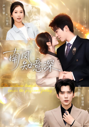 南风知意深（40集）好看短剧看不停