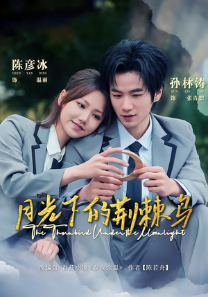 月光下的荆棘鸟（80集）一起追短剧吧