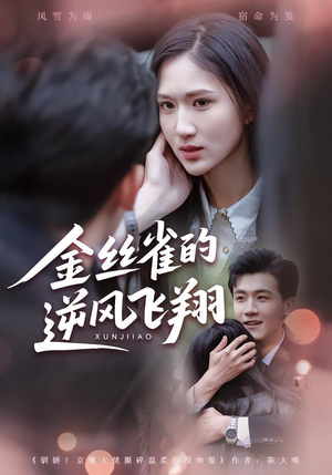 金丝雀的逆风飞翔（80集）全集一网打尽