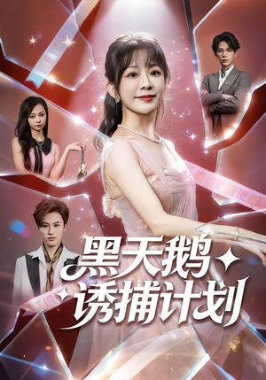 【黑天鹅诱捕计划】81集短剧免费全集在线播放