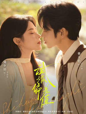 【试婚偏差值】66集短剧免费高清在线观看