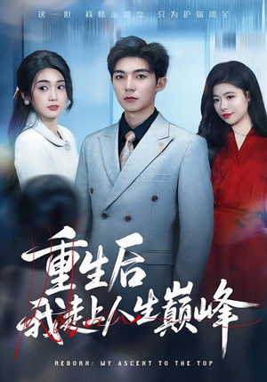 重生后我走上人生巅峰（80集）精彩短剧追不停