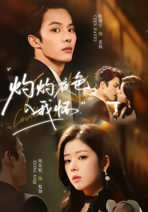 【灼灼夜色入我怀】60集短剧免费高清在线看