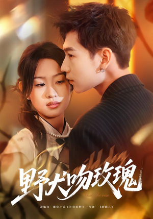 【野犬吻玫瑰】70集免费短剧完整观看