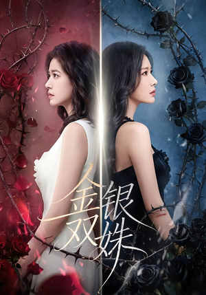 【金银双姝】80集完整短剧在线播放无广告