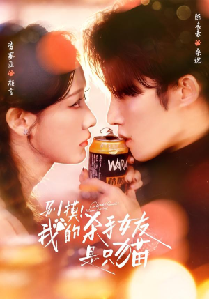 别摸！我的杀手女友是只猫（60集）80到100集