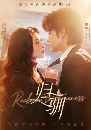 归驯（82集）精彩好看短剧