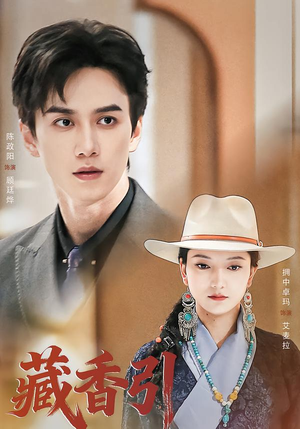 藏香引（63集）高分推荐免费看