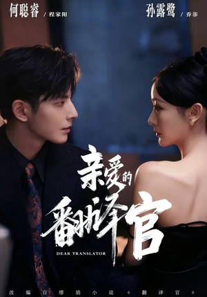 亲爱的翻译官（60集）全剧看到大结局