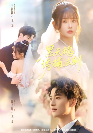 黑天鹅诱捕法册(80集) 黑天鹅诱捕法册(80集)免费短剧推荐