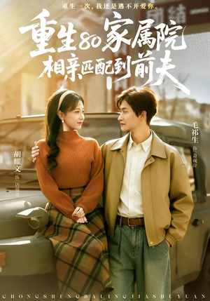 【重生80家属院，相亲匹配到前夫】77集热门短剧在线观看