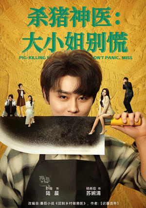【杀猪神医，大小姐别慌】80集短剧免费在线观享