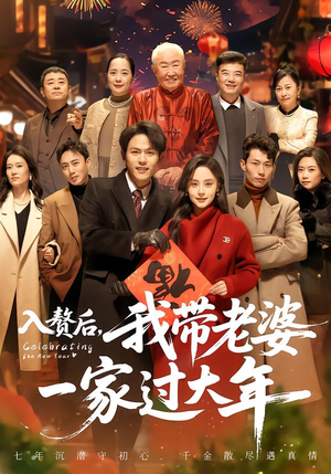 【入赘后，我带老婆一家过大年】60集精彩短剧在线免费观瞧