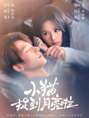 【小猫捉到月亮啦】80集短剧全集在线观看不卡顿