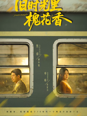 【旧时光里槐花香】70集短剧免费在线高清观看