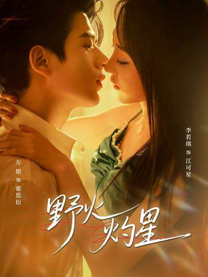 【野火灼星】56集短剧免费全集畅快观看