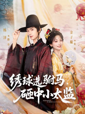 绣球选驸马，砸中小太监（81集）热门短剧大全