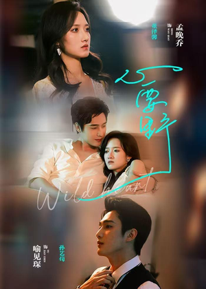 【心要野】62集短剧在线免费全集播