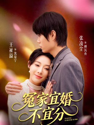 冤家宜婚不宜分（80集）热播短剧分享