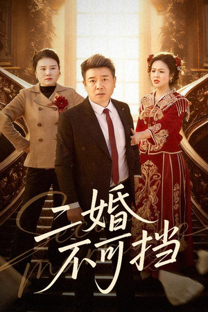 二婚不可挡（36集）短剧太精彩