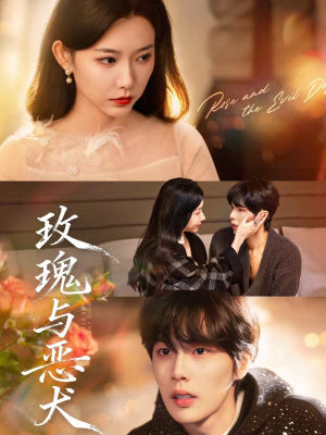 【玫瑰与恶犬】80集热门短剧免费在线观