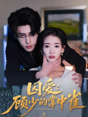 【囚爱：顾少的掌中雀】70集优质短剧免费观览