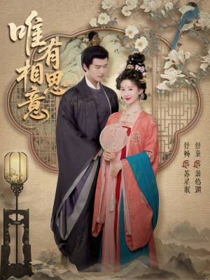 【唯有相思意】100集短剧免费全集赏映