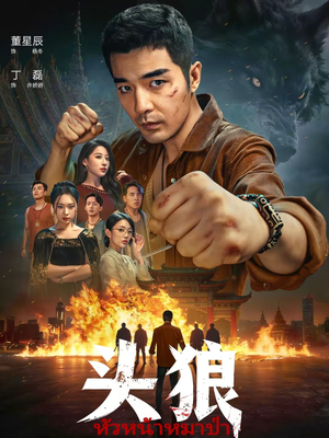 【头狼】77集热门短剧在线免费看