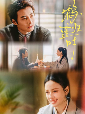 【鹤归瑾时】81集短剧全集免费在线畅看